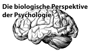 Die biologische Perspektive der Psychologie [upl. by Magree]