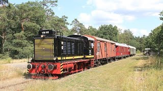 Sonderzug mit V36 005 Lüneburg  Bleckede [upl. by Lleumas518]