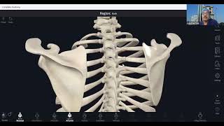 SonoAnatomy of Thoracic Spine  Intercostal Nerve Block  Paravertebral Block  Erector Spinae Block [upl. by Rew]