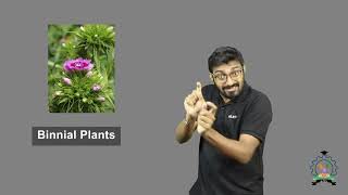 Indian Sign Language Tutorial Binnial Plants [upl. by Deuno]