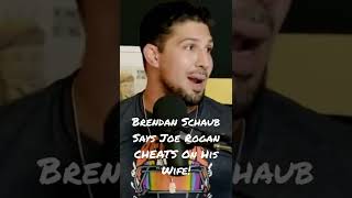 Brendan Schaub Says Joe Rogan CHEATS On His Wife 💀 [upl. by Inaj778]