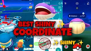 Best Coordinates For Rare Pokemon in Pokemon Go  Shiny Pokemon Coordinates gaming trending [upl. by Kee]