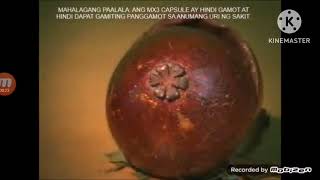 MX3 Capsule TVC  Mangosteen Revised The Little Bear 2001 Movie Teaser Trailer [upl. by Meneau]