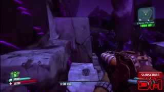 Borderlands 2  How to get into the Treasure Room at the end of the DLC [upl. by Weitzman]