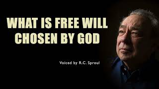 RC Sproul  What Is Free Will Chosen By God [upl. by Dudden]