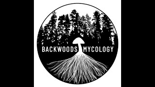 SporesSwaps Podcast Episode 6  Backwoods Mycology Matthew Swanson [upl. by Direj]