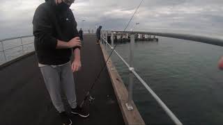 Squid Fishing Cowes Phillip Island [upl. by Llohcin]