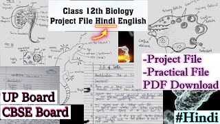 Class 12 biology Project file in Hindi Project on Ameaba Ascaris earthworm Biology Spotting Physics [upl. by Malena]