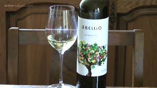 Abellio Rias Baixas Albariño 2016 wine review [upl. by Asquith762]