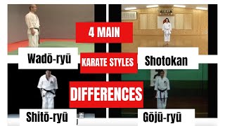 Do You Know the Difference Between The 4 main Karate Styles [upl. by Zednanref]