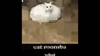 cat roomba memes [upl. by Namron]