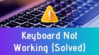 How To Fix Keyboard Not Working Windows 1087 New Method  100 Working [upl. by Llesram]