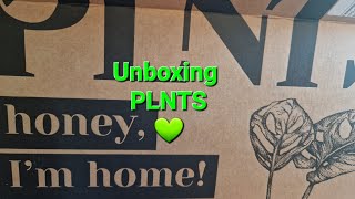 Unboxing PLNTS💚 [upl. by Virge]