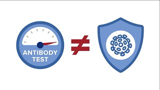 Serologic Testing What Are Antibodies [upl. by Enelkcaj]