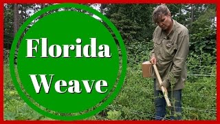 Florida Weave Staking  Staking Tomatoes via the Florida Weave Method at Alderman Farms [upl. by Tabbie]