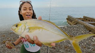 Line Fishing on the beach for Snapper amp Jack [upl. by Huckaby149]