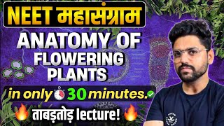 NEET महासंग्राम🔥 ANATOMY OF FLOWERING PLANTS  Neet 2024 [upl. by Isak]