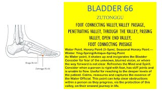 BLADDER 66 ZUTONGGU FOOT CONNECTING VALLEY VALLEY PASSAGE PENETRATING VALLEY THROUGH THE VALLEY [upl. by Zalucki]