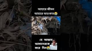 viralvideo explore quran millionviews গজল bangladesh [upl. by Viddah]