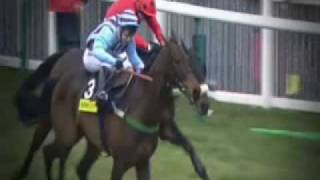 Cheltenham Memories 2004 Pt2 [upl. by Vorster]