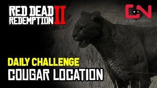 RDR2 Online  2 Cougars Skinned Daily Challenge  Cougar Location [upl. by Nnaed]