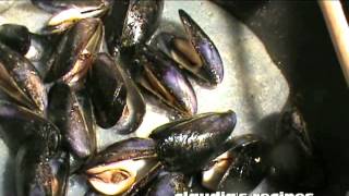 PASTA WITH MUSSELS  CLAUDIAS RECIPES [upl. by Okun314]