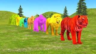 Long Slide Game With Elephant Gorilla Buffalo Hippopotamus Tiger  3d Animal Game  Funny 3d Animals [upl. by Nisbet932]