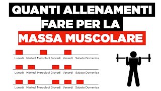 Quanti allenamenti fare per la MASSA MUSCOLARE [upl. by Ellehsat]