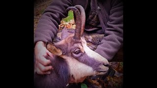 Chamois hunting in Romania5Gamsjagd in Rumänien5Zerge vadászat Romániában5 chamoishunting jagen [upl. by Sirap]