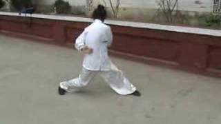 a kung fu masters amazing exercise [upl. by Hannah]