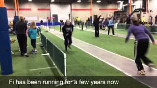 Flyball Dog Training St Cloud MN Dog Training Brainerd MN [upl. by Wester794]