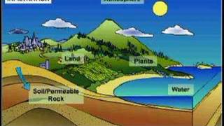 The Earths Water Cycle  Environmental Science [upl. by Reina14]