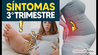 SÍNTOMAS y Molestias del 3º TRIMESTRE de Embarazo [upl. by Odnalro]