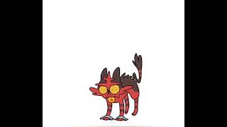 Litten funny evolution [upl. by Meekar]