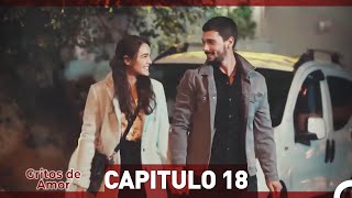 Gritos de Amor Capitulo 18 Doblaje En Español [upl. by Teerpnam]