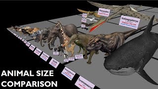 Animal Size Comparison 3D [upl. by Oigile938]