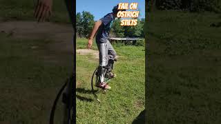 how to fall on ostrich stilts fail [upl. by Franckot892]