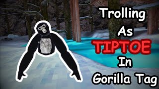 Trolling as TipToe Low Budged [upl. by Carlstrom]