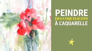 Peindre des coquelicots à laquarelle  MOYEN [upl. by Brighton56]