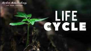 Abraham Hicks 2024  Life Cycle [upl. by Dine375]