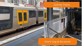 Short Vlog at Burwood  vlog17 [upl. by Tallbott747]