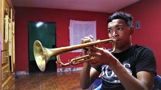 Si Veo a Tu Mama BAD BUNNY COVER EN TRUMPET  NOTAS GRATIS [upl. by Noterb]