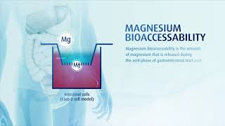 MARINE MAGNESIUM FROM SEAWATER Aquamin Mg [upl. by Alegnasor]