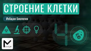 Строение клетки  ЕГЭ по биологии [upl. by Raynold]