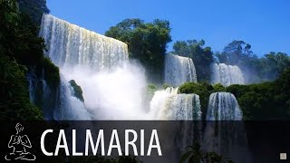 🎧 CACHOEIRA  Cachoeira Natureza  8 horas de som  Relax Durma Calma  ♫005 [upl. by Morette]