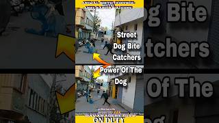 Street Dog Bite Catchers । Dog Sound shorts dog rescue shortvideo [upl. by Anyk]