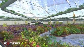 Polydome Sustainable Agriculture [upl. by Lebasi]