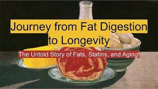 Journey from Fat Digestion to Longevity health diet aging longevity fat ketones glucose [upl. by Harras]