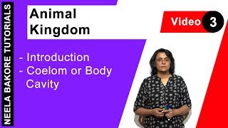 Animal Kingdom  NEET  Introduction  Coelom or Body Cavity  Neela Bakore Tutorials [upl. by Sirref]