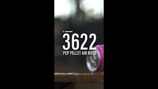 Crosman 3622 PCP Air Rifle is a gamechanger [upl. by Zilla]